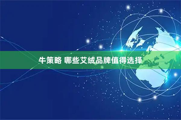 牛策略 哪些艾绒品牌值得选择
