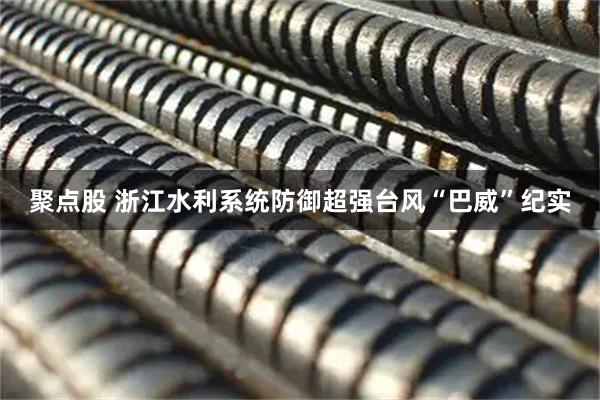 聚点股 浙江水利系统防御超强台风“巴威”纪实