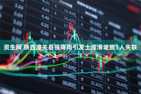 资生网 陕西潼关县强降雨引发土崖滑坡致1人失联