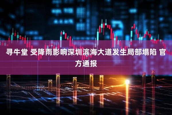 寻牛堂 受降雨影响深圳滨海大道发生局部塌陷 官方通报
